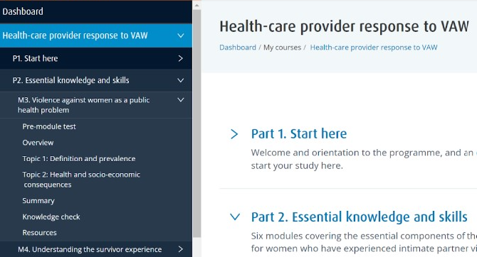 Health sector response to violence against women