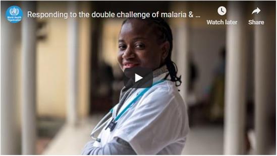 Still image of the video responding to the double challenge of malaria and COVID-19